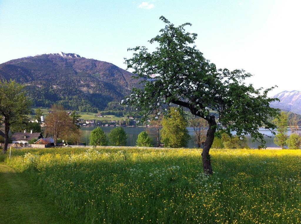 Haus Schoenblick Apartment Strobl Exterior photo